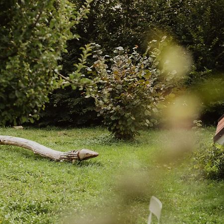 Schoene Wohnung Am Stadtrand Von Meran Valentinhof Zewnętrze zdjęcie